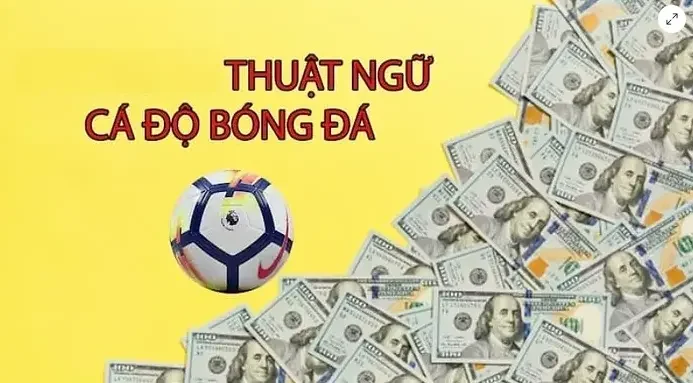 Tổng hợp các thuật ngữ cá độ bóng đá Debet.